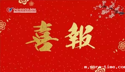 喜报:我校在第四届江苏高校心理情景剧大赛中荣获多个奖项